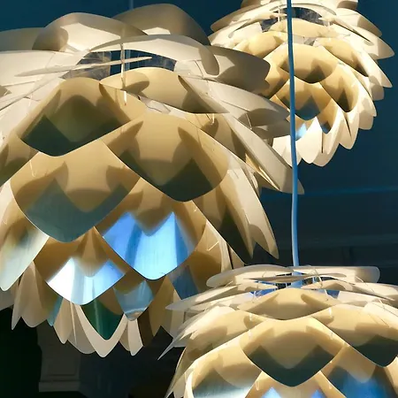 Maison Rue De La 아파트 잔드보르트